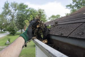 gutter cleaning by handyman