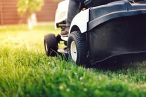 lawn mower cutting grass