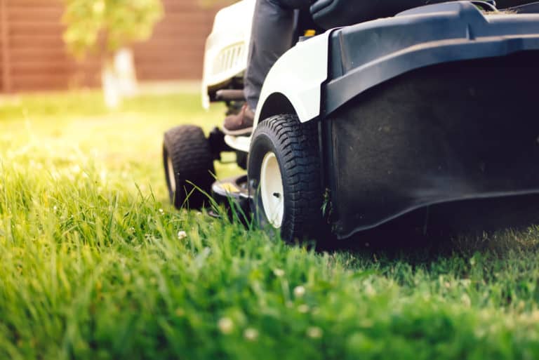 lawn mower cutting grass